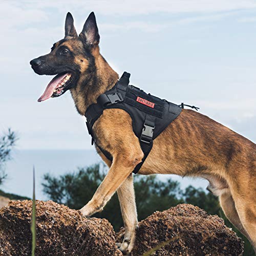 Tactical Dog Harness (Medium / Black)