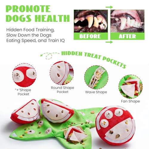 Hide and Seek Plush Dog Toys (watermelon)