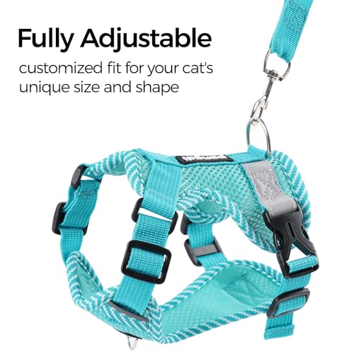 Cat Harness and Leash Set (Turquoise / XX-Large)