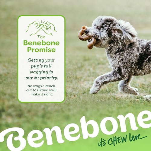 Tiny 2 Pack Tripe Bone Durable Dog Chew Toy for Aggressive Chewers (REAL Beef / Tiny 2-Pack)