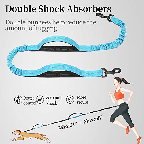 Hands Free Dog Leash with Zipper Pouch (Blue / Large)