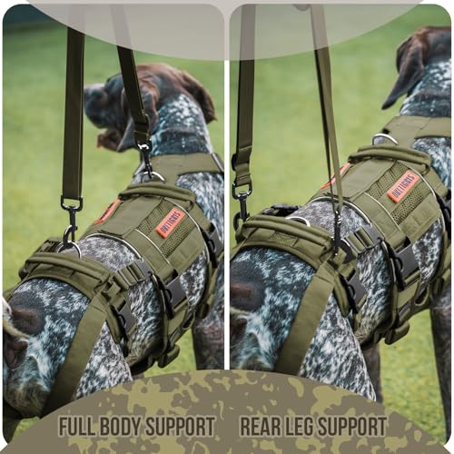 Breathable Dog Lift Harness for Medium Sized Dogs (Large / Green)