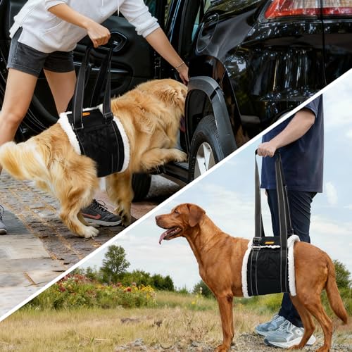 Dog Lift Harness Sling for Back Legs (Extra Large / Black)