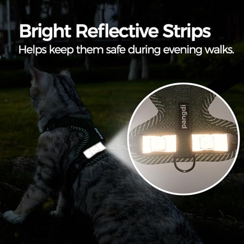 Cat Harness and Leash Set (Dark Green / XX-Large)
