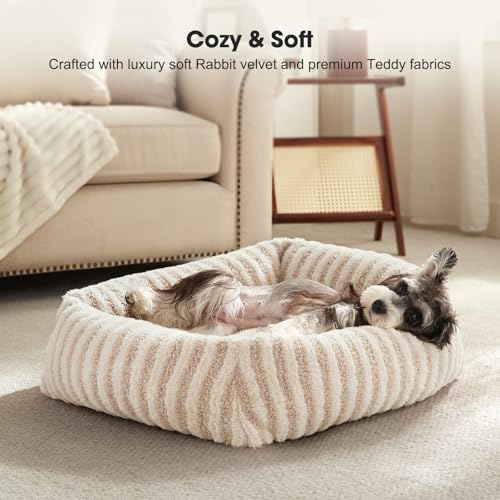 Dog Beds for Small Dogs Cats (White / S(20"Lx19"Wx6"Th))