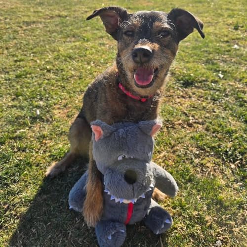Fairy Tale Squeaky Dog Toys (Little Red)