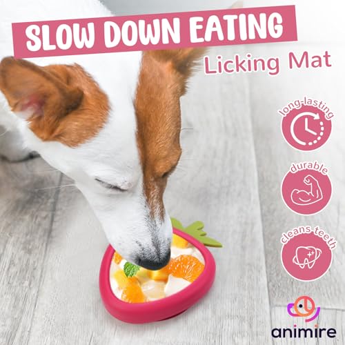 Freeze Dog Lick Bowl (L / B- Rose)