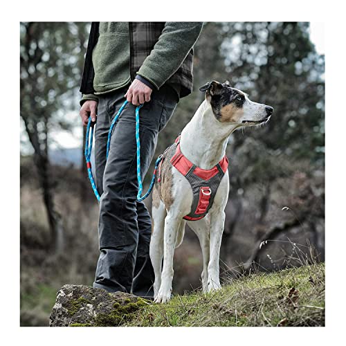 Journey Air Dog Harness (X-Large / Coral)