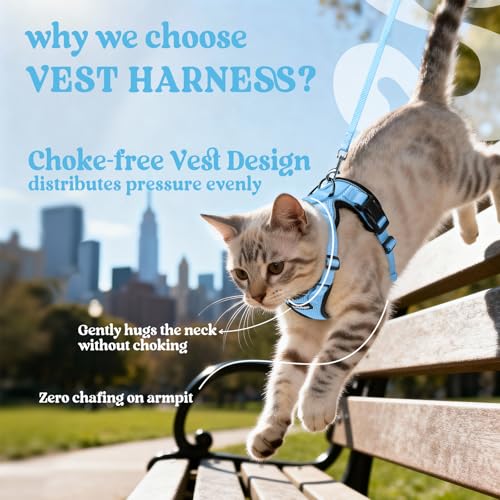 Cat Harness and Leash Set (Xxs / Light Blue)