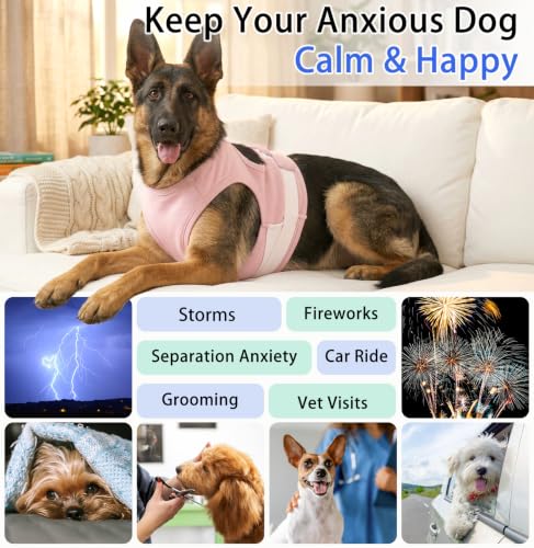 Dog Anxiety Relief Jacket (Pink / Medium (Chest: 24.4"/62cm))