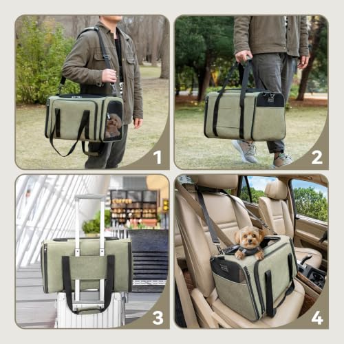 Medium Expandable Cat Carrier for Air Travel (17.0"L x 11.0"W x 11.0"H / Green)
