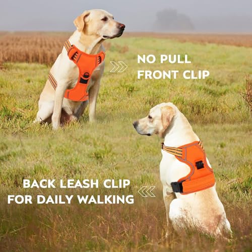 Dog Harness for Medium Sized Dog with Leash (Orange / M)