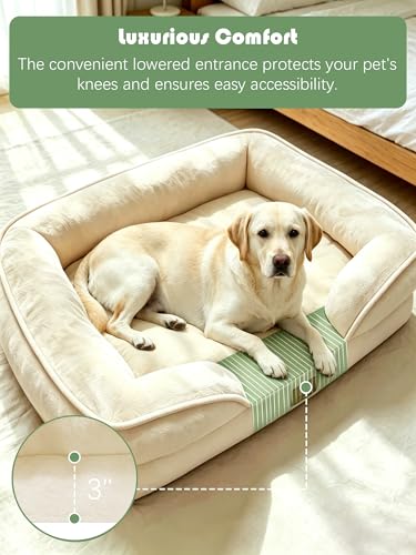 Orthopedic Dog Bed with Sides (42.0"L x 32.0"W x 6.5"Th / Ivory)