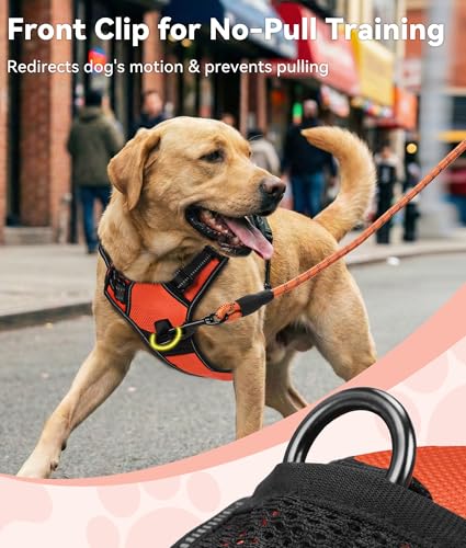 No Pull Dog Harness for Extra Large Dogs (X-Large / Orange)
