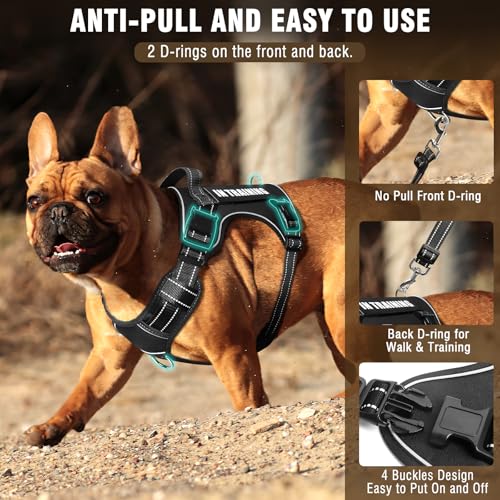 Tactical Dog Harness and Leash Set Medium Sized Dog+10 Dog Patches (Medium / Black)