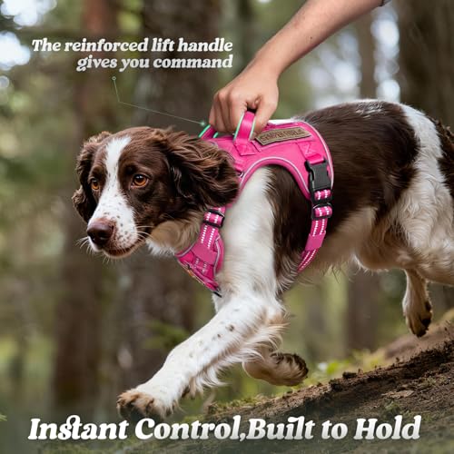 Tactical Dog Harness for Large Dogs (L(Chest:22"-37",Neck:21.1"-30.3",Back:8.3") / Rose Red)