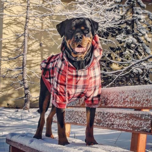 Dog Hoodie Buttery (Red Plaid / 4XL)