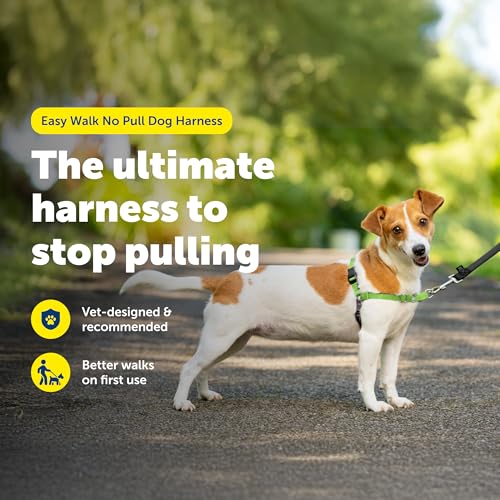 Easy Walk Harness for Dogs (Small / green)
