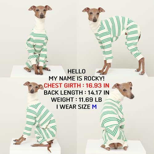 D Doggy Star Italian Greyhound Clothes Soft Stretchy Onesie Refined Stripe Outfit Whippet for Dog Coat (2XL / Onesie Green Stripe)