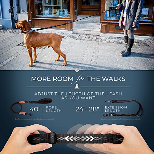 Heavy Duty Bungee Rope Leash (Adjustable Premium Gold)