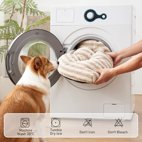 Washable Small Dog Bed (White / 23.0"l x 18.0"w x 3"th)