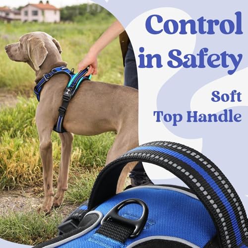 Dog Harness for Large (Large / Blue)