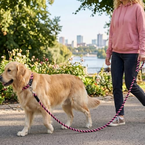 Rainbow Dog Leash Braided Cotton Rope w Leather (Black/Pink / 48 Inch-1/2")