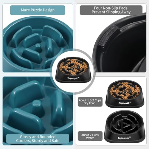 2 Pack Slow Feeder Dog Bowls for Medium Dogs & Cats (Medium / Black and Navy Blue)