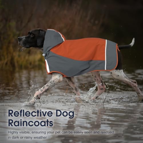 Hooded Dog Raincoat (2X-Large / Orange)