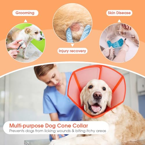 Dog Cone Waterproof Pet Recovery Collar Anti Lick (Orange / Large)