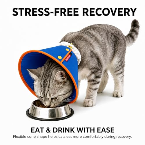 Soft Dog Cone Collar for Dogs & Cats (Blue / XS)