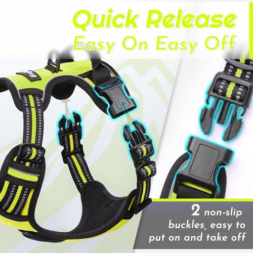 Dog Harness for Small Dogs (Small / Green)