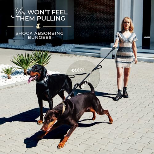 Premium Double Leash for Two Dogs (Adjustable Premium Black)