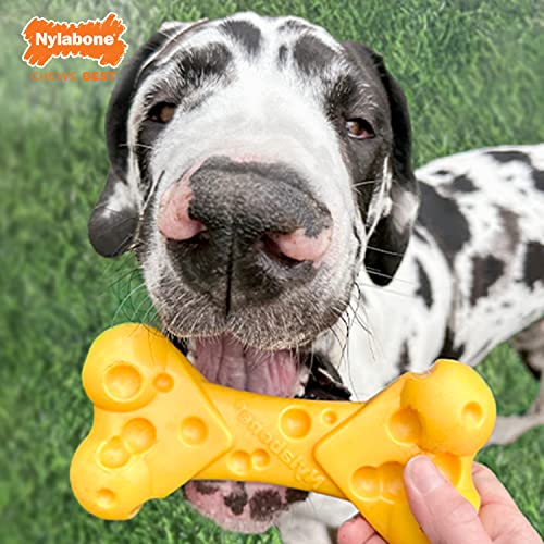 Power Chew Cheese Bone Dog Chew Toy (Cheese 1 Pack / X-Large)