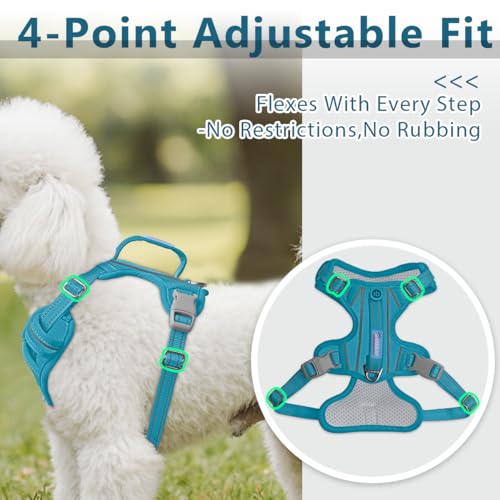 No Pull Dog Harness for Small Sized Dogs (Small(Chest:19.5-26”) / Aqua-Oxford)