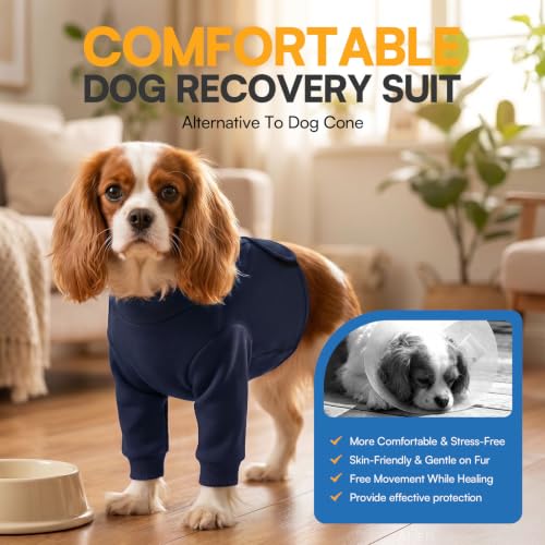 Recovery Sleeve for Dogs Front Leg (Large / NavyBlue)