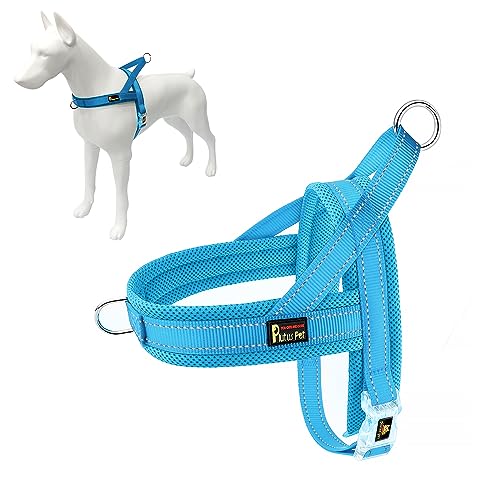 No Pull Dog Harness for Large Dogs (L: chest 25.2"-32.3" / Cyan)