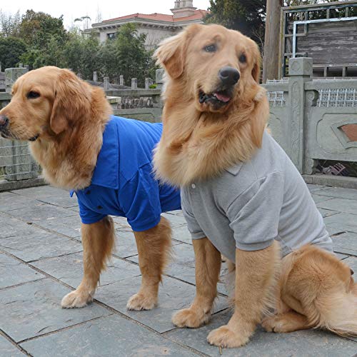 Basic Dog Polo Shirts Premium Cotton (L (-18lbs) / Blue)