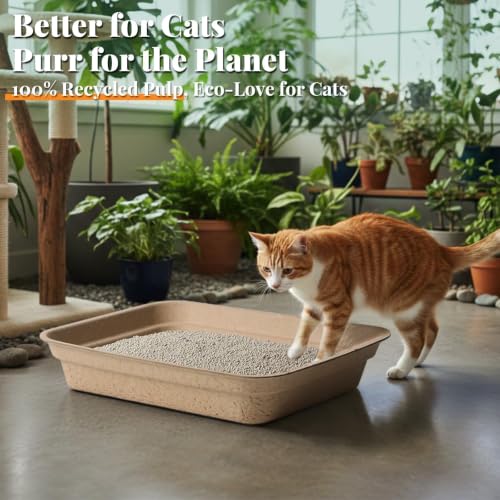 10 Pack Disposable Litter Box for Kitty Cats