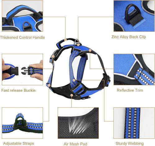 Dog Harness for Small Dog with Leash (Blue / S)
