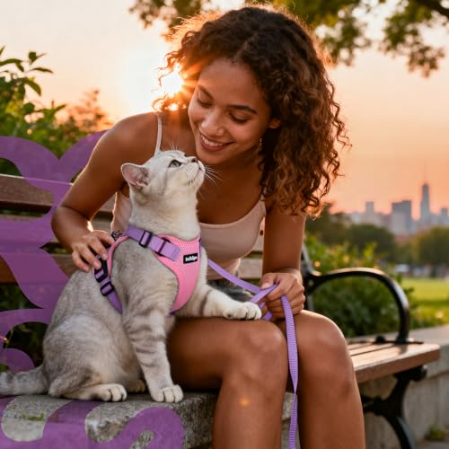 Cat Harness and Leash Set (M / Pink & Light Purple)