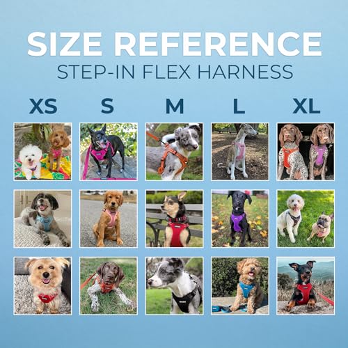 Voyager Step in Flex Adjustable Dog Harness (Harness (Red) / S)