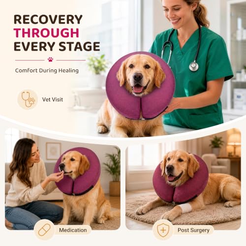 Inflatable Dog Cone (Rose / S(9"-10"))