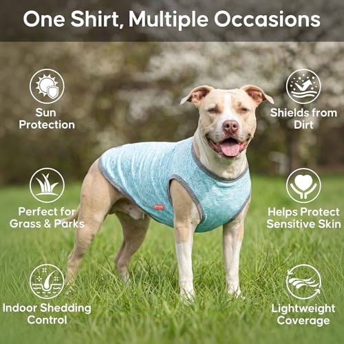 2Pack Dog Shirt for Small Dogs Sun Protection Tank Top for Summer (X-Large (18-30lbs) / 7# 2Pack (Grey+Sky Blue))