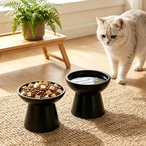 2 Pack Elevated Ceramic Cat Bowls Extra Wide for Food & Water (Black)