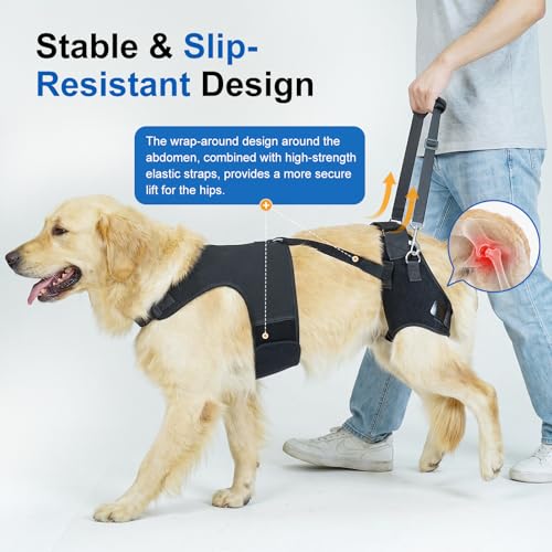 Dog Hip Dysplasia Brace with Back Lift Strap (2XL)