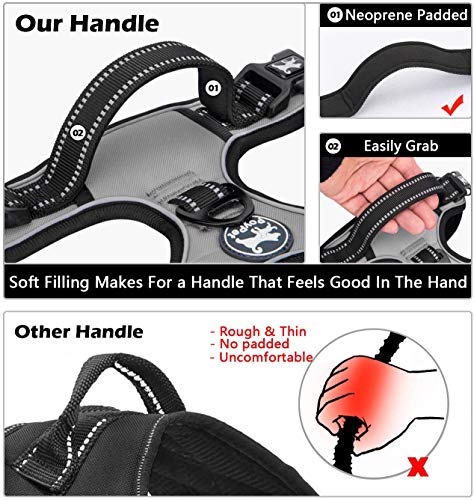 No Pull Dog Harness Large with Front Clip & Neck Release Buckle (Large / Grey)
