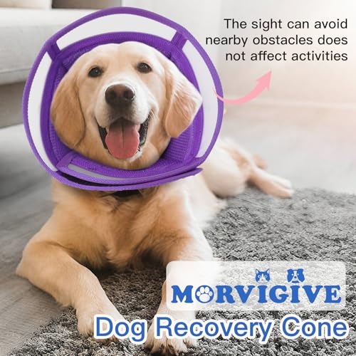 Dog Cone Alternative for Small Dogs to Stop Licking (Purple / Medium)