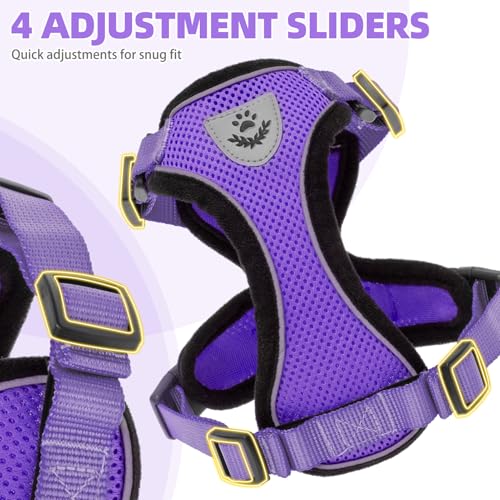 Cat Harness and Leash Set Escape Proof Reflective Cat Walking Harness Adjustable Soft Breathable Mesh Vest for Small Pets (M (NECK 11"-13.7", CHEST 16"-20") / Purple)
