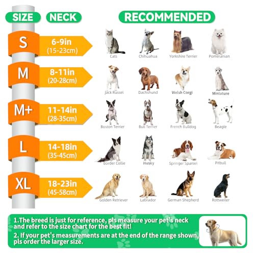 Upgraded Inflatable Dog Cone Collar to Stop Licking (M+ (Neck: 11-14") / Lime)